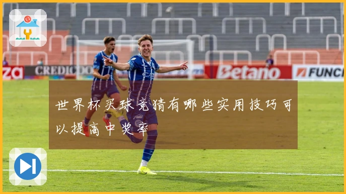 世界杯买球竞猜有哪些实用技巧可以提高中奖率