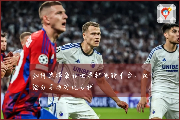 如何选择最佳世界杯竞猜平台，经验分享与对比分析