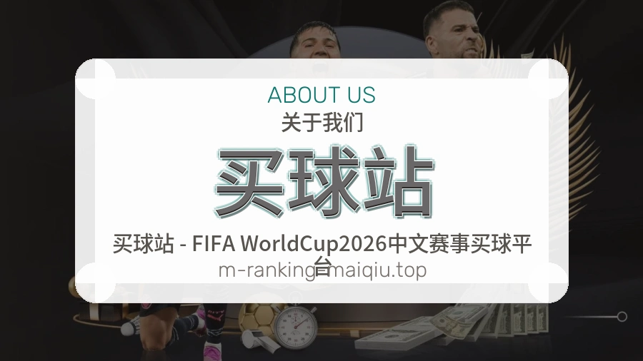 关于 买球站 团队与服务